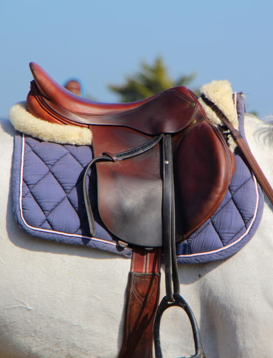 Reitsport