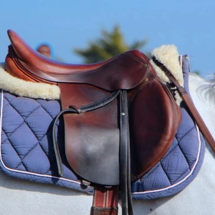 Waschmaschine für Pferdedecken