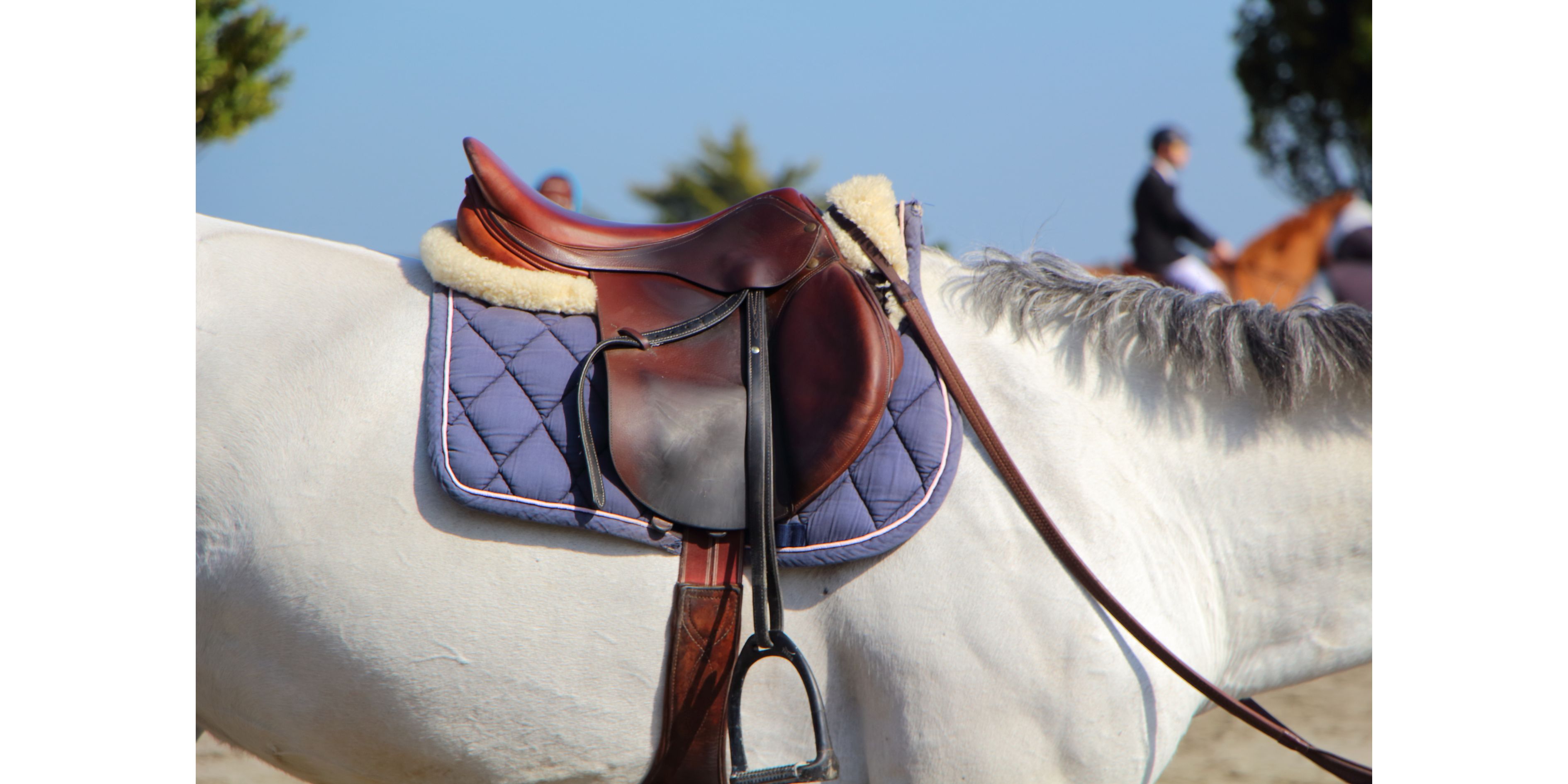 Textilreinigungsmaschine