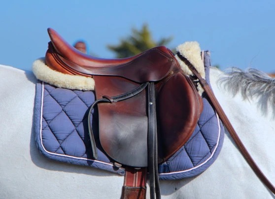 Reitsport Pferdedecken